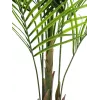 EUROPALMS Τεχνητό φυτό Areca μεγάλων φύλλων, 165cm 82509441