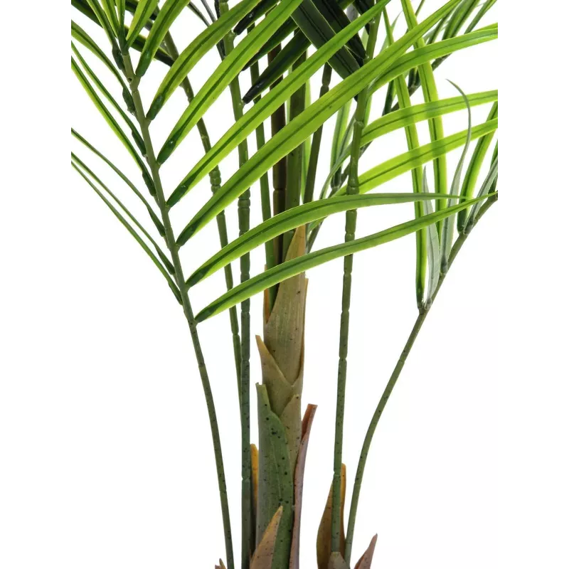 EUROPALMS Τεχνητό φυτό Areca μεγάλων φύλλων, 165cm 82509441