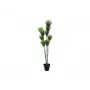 EUROPALMS Τεχνητό φυτό παπύρου, 150cm, Πράσινο, σε μαύρη γλάστρα 82600223