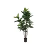 EUROPALMS Τεχνητό φυτό ελαστικό δέντρο, 120cm 82600150