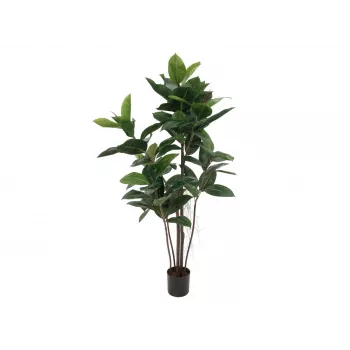 EUROPALMS Τεχνητό φυτό ελαστικό δέντρο, 120cm 82600150