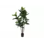 EUROPALMS Τεχνητό φυτό ελαστικό δέντρο, 120cm 82600150
