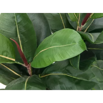 EUROPALMS Τεχνητό φυτό ελαστικό δέντρο, 120cm 82600150