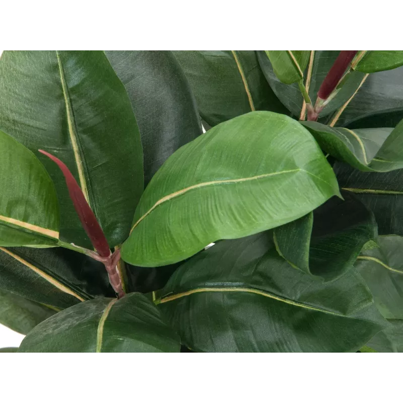 EUROPALMS Τεχνητό φυτό ελαστικό δέντρο, 120cm 82600150