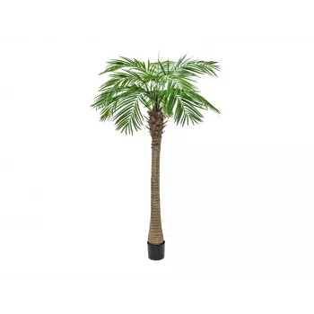 EUROPALMS Phoenix Palm Luxor, Τεχνητό φυτό, 240cm 82510722