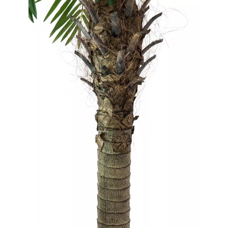 EUROPALMS Phoenix Palm Luxor, Τεχνητό φυτό, 240cm 82510722