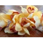 EUROPALMS Τεχνητό κλαδί Cymbidium, Κίτρινο, 90cm 82530314