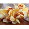 EUROPALMS Τεχνητό κλαδί Cymbidium, Κίτρινο, 90cm 82530314