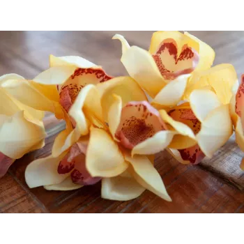 EUROPALMS Τεχνητό κλαδί Cymbidium, Κίτρινο, 90cm 82530314