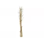 EUROPALMS Αποξηραμένο μπουκέτο μάραθου, χρυσό, 160cm 83502363