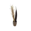 EUROPALMS Αποξηραμένο μπουκέτο μάραθου, χρυσό, 160cm 83502363