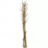 EUROPALMS Αποξηραμένο μπουκέτο μάραθου, χρυσό, 160cm 83502363