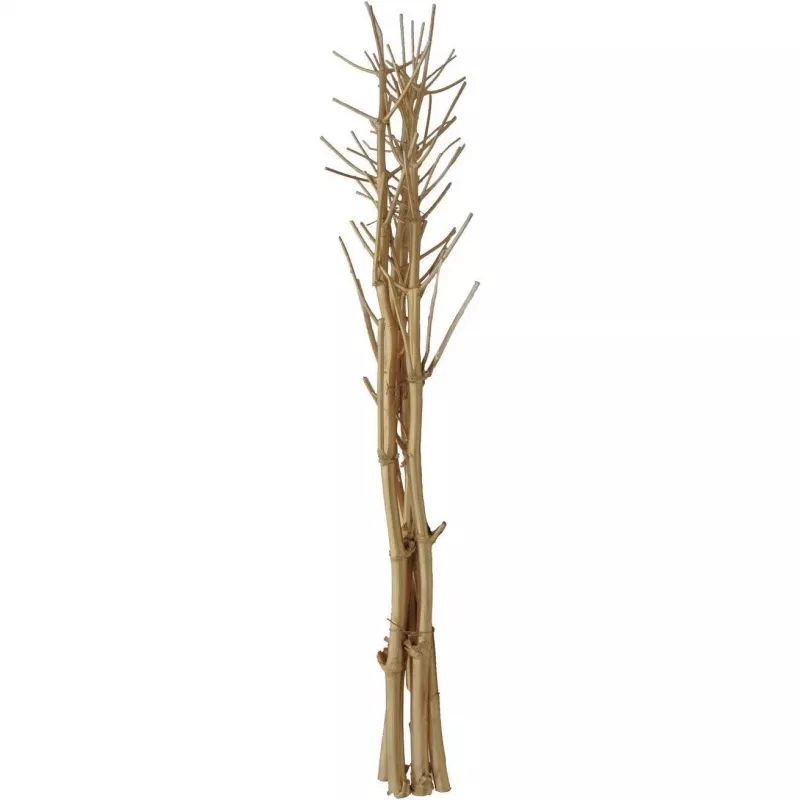 EUROPALMS Αποξηραμένο μπουκέτο μάραθου, χρυσό, 160cm 83502363
