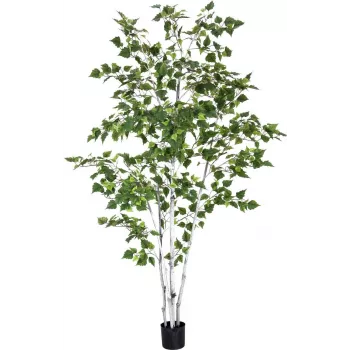 EUROPALMS Τεχνητή σημύδα, 210 cm 82505232