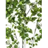 EUROPALMS Τεχνητή σημύδα, 210 cm 82505232