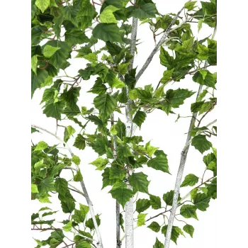 EUROPALMS Τεχνητή σημύδα, 210 cm 82505232