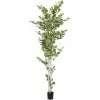EUROPALMS Τεχνητή σημύδα, 210 cm 82505232