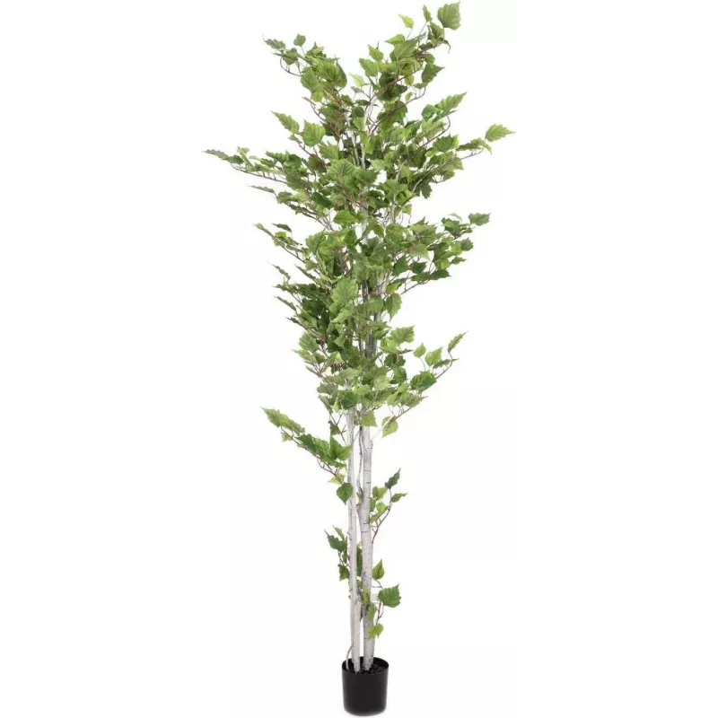 EUROPALMS Τεχνητή σημύδα, 210 cm 82505232