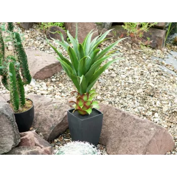 EUROPALMS Αγαύη σε γλάστρα, τεχνητό φυτό, 75cm 82600160