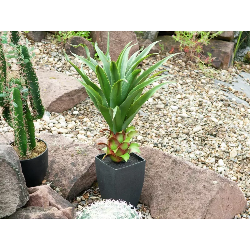 EUROPALMS Αγαύη σε γλάστρα, τεχνητό φυτό, 75cm 82600160