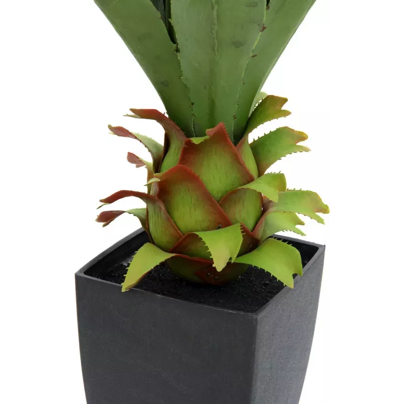 EUROPALMS Αγαύη σε γλάστρα, τεχνητό φυτό, 75cm 82600160