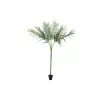 EUROPALMS Areca deluxe Τεχνητό φυτό, 180cm 82509443