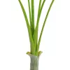 EUROPALMS Areca deluxe Τεχνητό φυτό, 180cm 82509443
