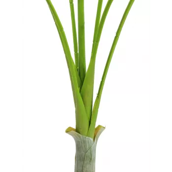 EUROPALMS Areca deluxe Τεχνητό φυτό, 180cm 82509443