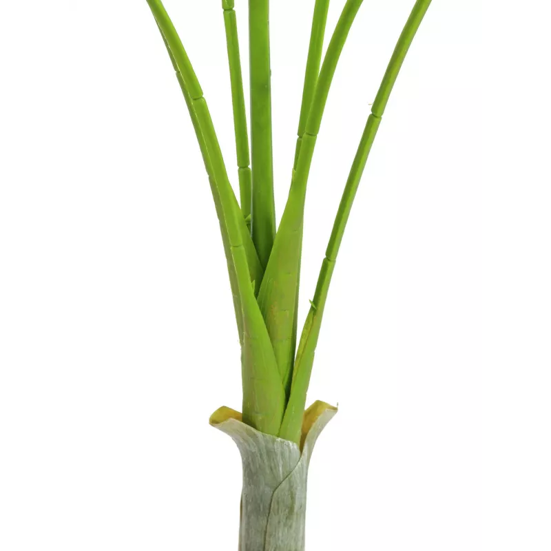 EUROPALMS Areca deluxe Τεχνητό φυτό, 180cm 82509443