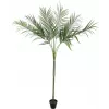 EUROPALMS Areca deluxe Τεχνητό φυτό, 180cm 82509443