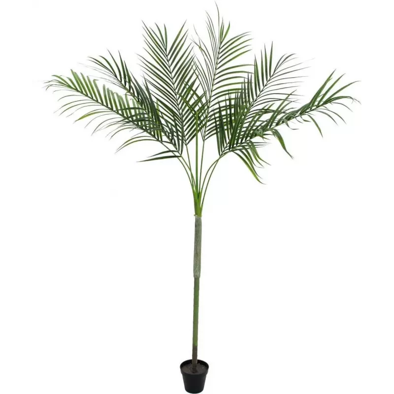 EUROPALMS Areca deluxe Τεχνητό φυτό, 180cm 82509443