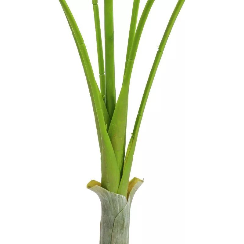EUROPALMS Areca deluxe Τεχνητό φυτό, 180cm 82509443