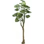 EUROPALMS Pothos Δέντρο τεχνητό φυτό 175cm 82600163