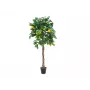 EUROPALMS Τεχνητή λεμονιά, 180cm 82507816