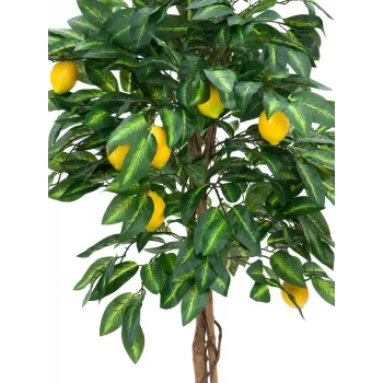EUROPALMS Τεχνητή λεμονιά, 180cm 82507816