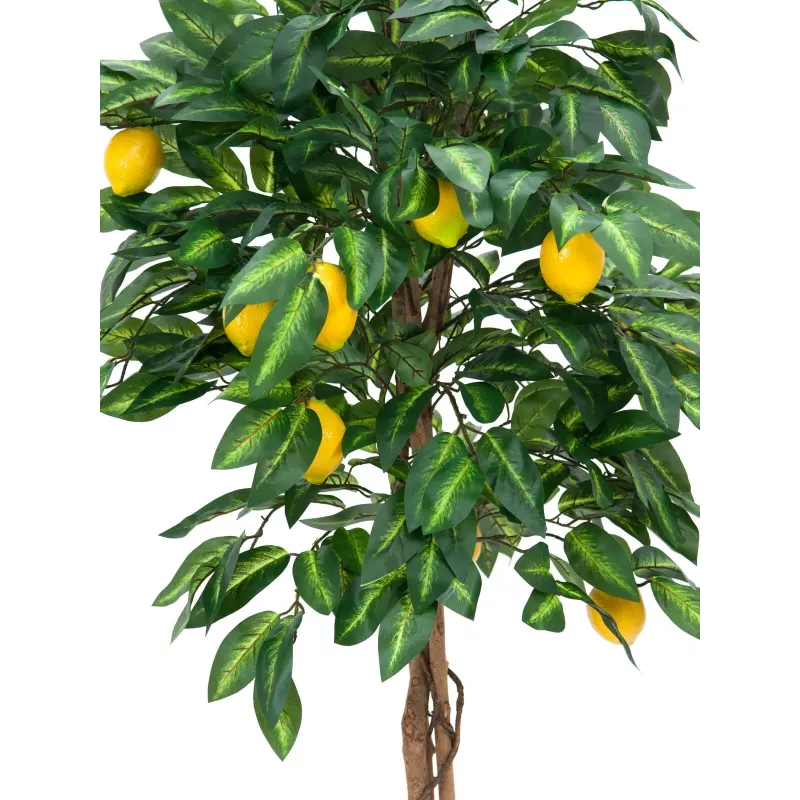 EUROPALMS Τεχνητή λεμονιά, 180cm 82507816