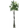 EUROPALMS Τεχνητό δέντρο Pachira Money, 160cm 82600165