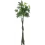 EUROPALMS Τεχνητό δέντρο Pachira Money, 160cm 82600165
