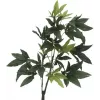 EUROPALMS Τεχνητό δέντρο Pachira Money, 160cm 82600165