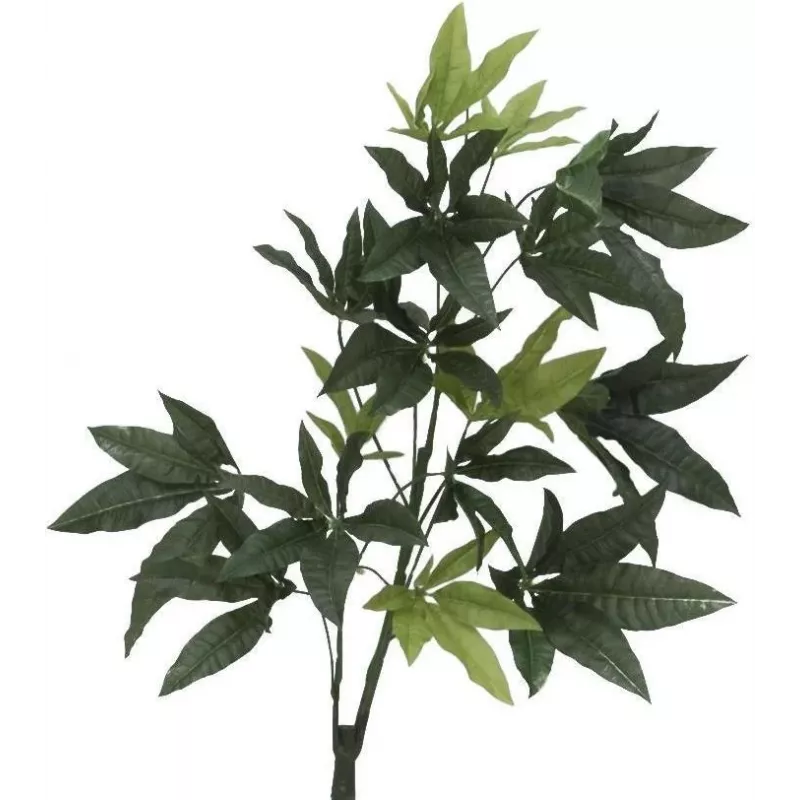 EUROPALMS Τεχνητό δέντρο Pachira Money, 160cm 82600165