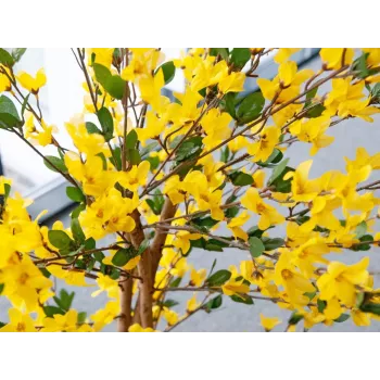 EUROPALMS Τεχνητό δέντρο Forsythia με 3 κορμούς, κίτρινο, 150cm 82507102