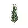EUROPALMS Τεχνητό φύλλο καρύδας, 150 cm 82509845