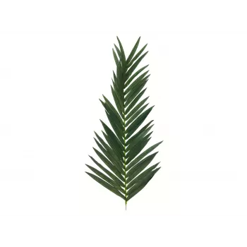 EUROPALMS Τεχνητό φύλλο καρύδας, 150 cm 82509845