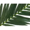 EUROPALMS Τεχνητό φύλλο καρύδας, 150 cm 82509845