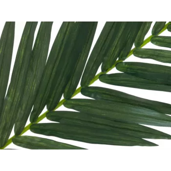 EUROPALMS Τεχνητό φύλλο καρύδας, 150 cm 82509845