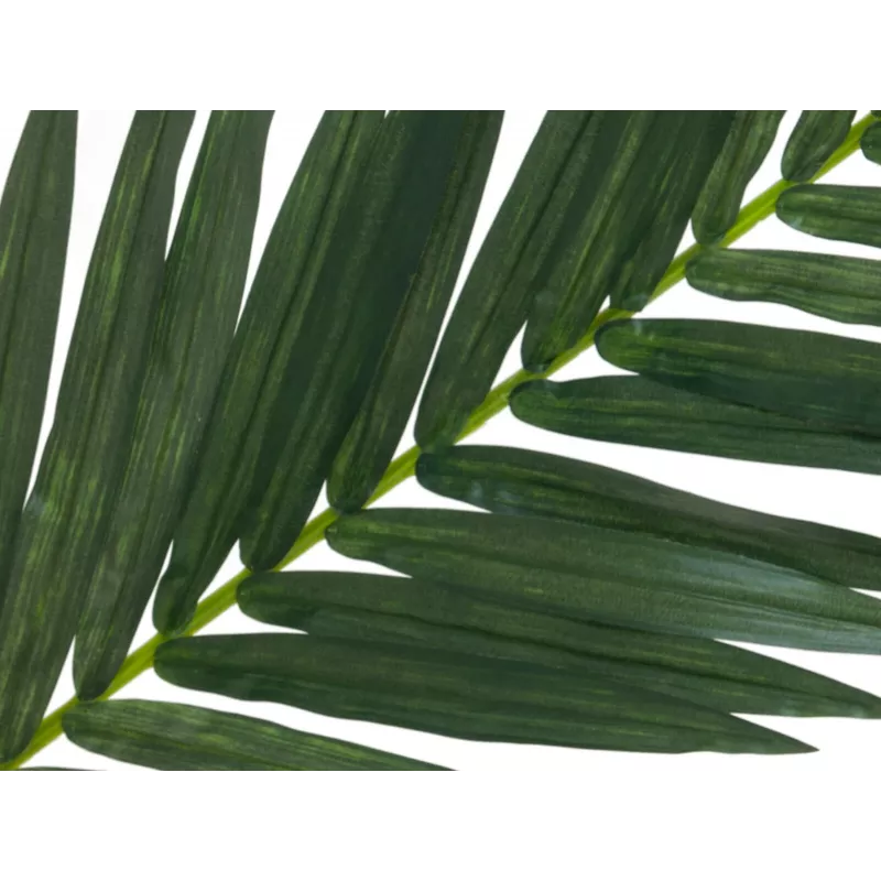 EUROPALMS Τεχνητό φύλλο καρύδας, 150 cm 82509845