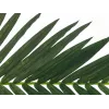 EUROPALMS Τεχνητό φύλλο καρύδας, 150 cm 82509845