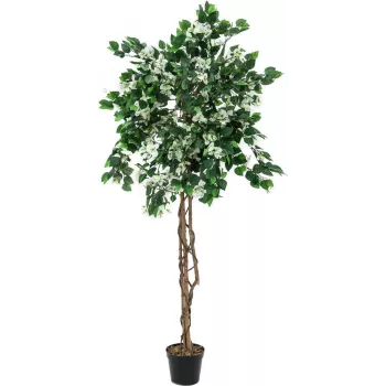 EUROPALMS Τεχνητό φυτό Bougainvillea, λευκό, 150cm 82507085