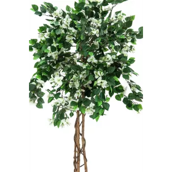 EUROPALMS Τεχνητό φυτό Bougainvillea, λευκό, 150cm 82507085