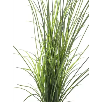 EUROPALMS Τεχνητό γρασίδι καλαμιού, 145cm, πράσινο/καφέ, σε γλάστρα 82600229